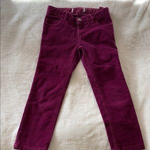 Burgundy velvet jeans for girls